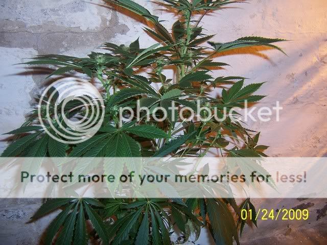 100_1173.jpg