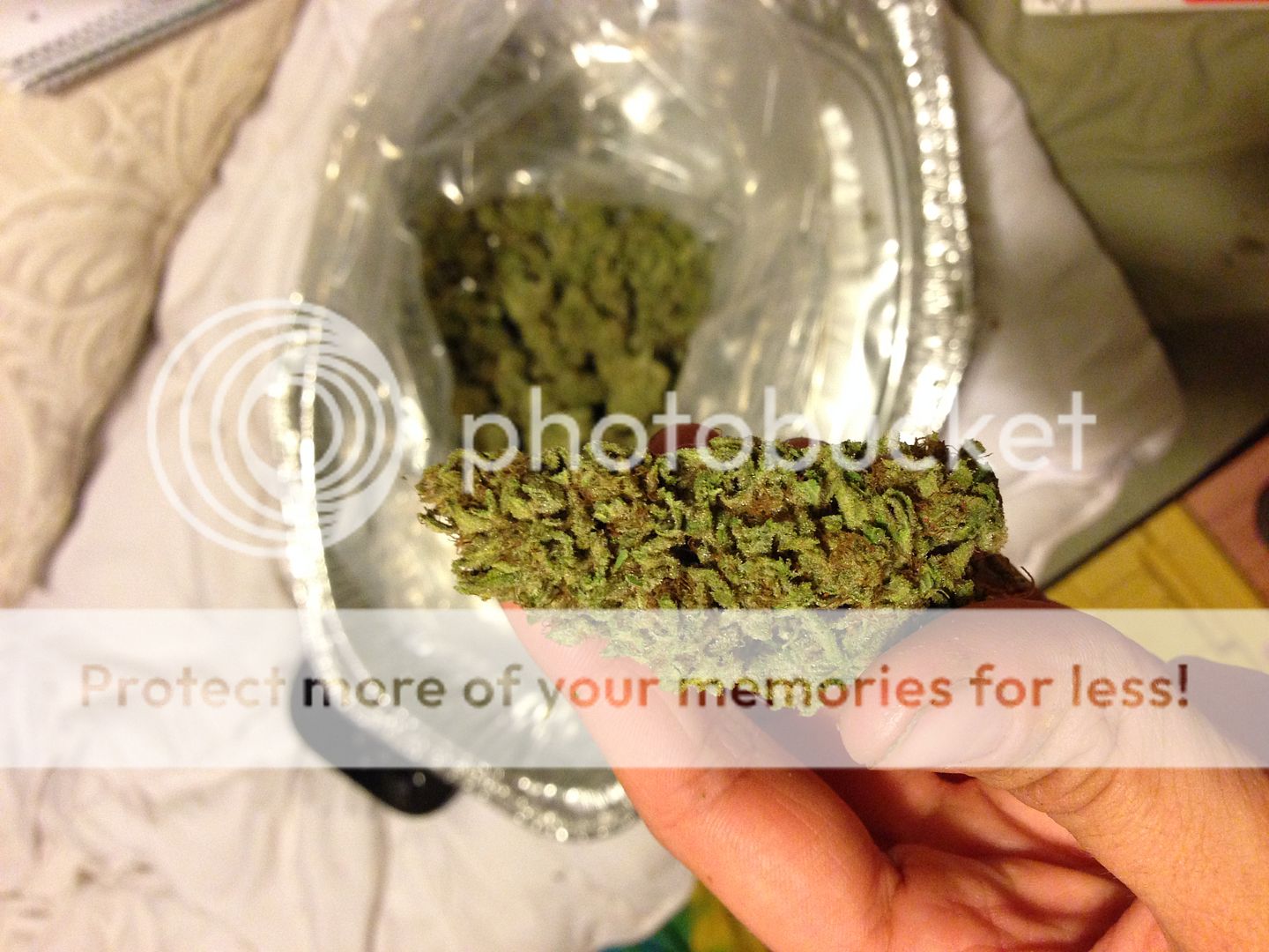 IMG_0381_zpsae3sg2bh.jpg