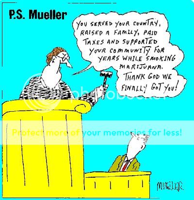 Mueller1w.jpg
