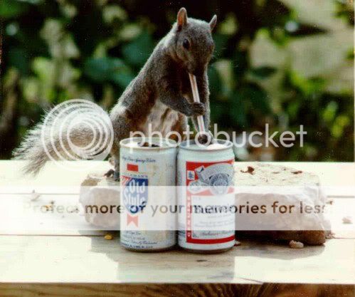 squirrel-beer.jpg