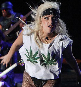 Gaga_potleaf.jpg