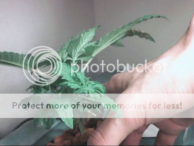 Picture55.jpg