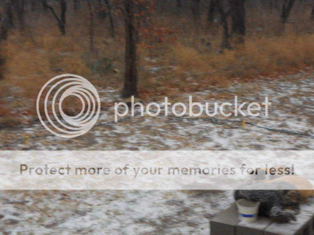 DSCN6020.jpg