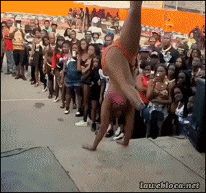 gifs_24.gif
