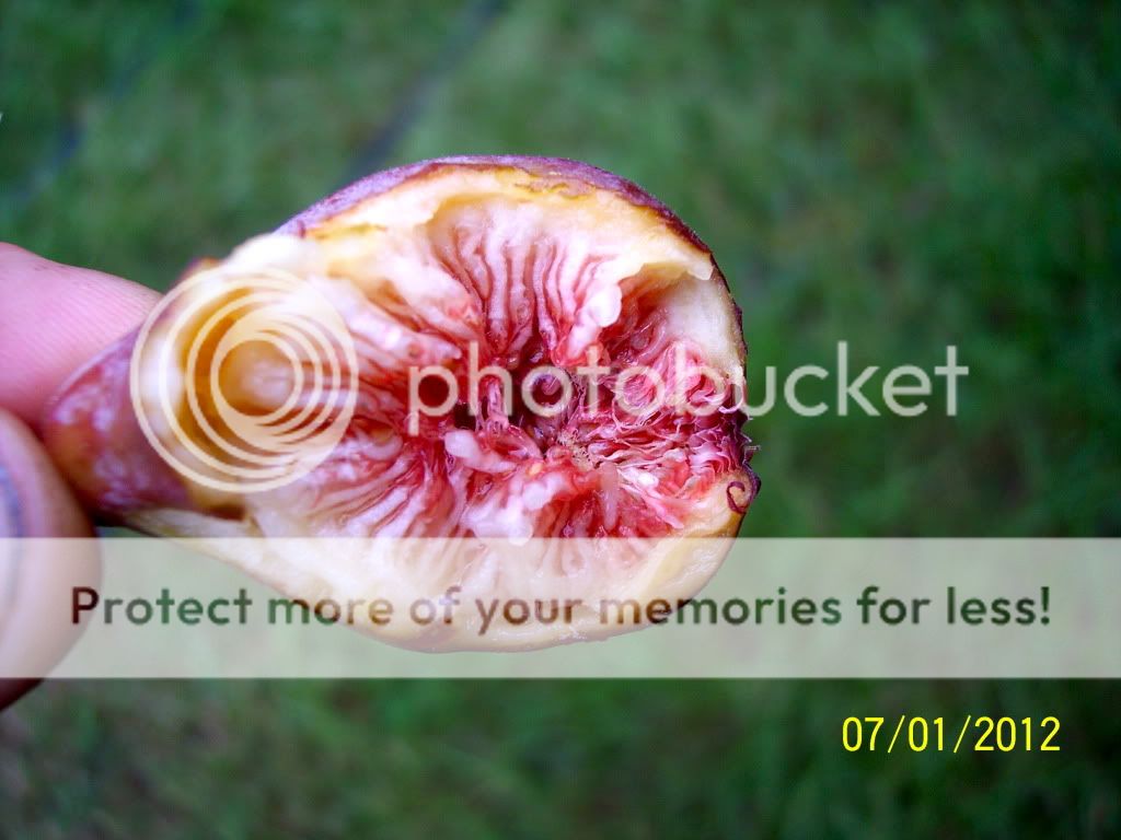 100_1856.jpg