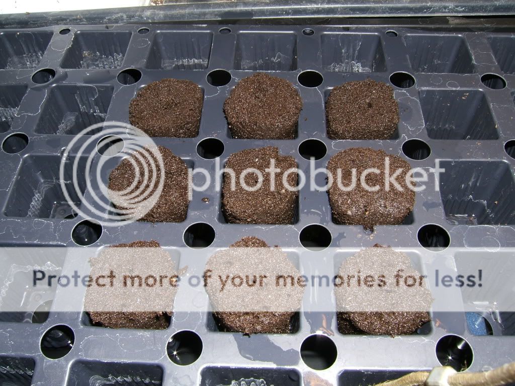 DSCF3925.jpg