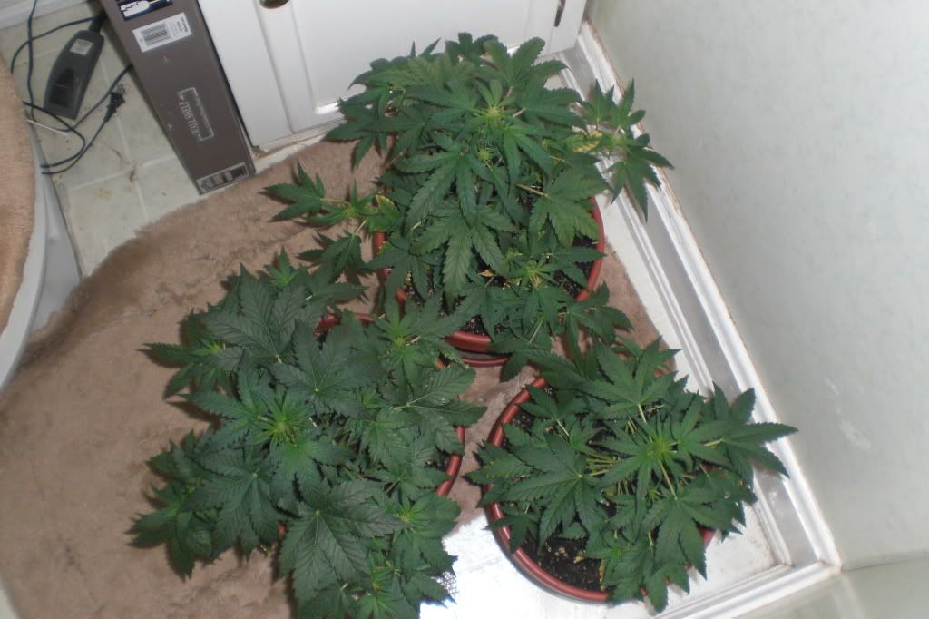 Oct13007.jpg