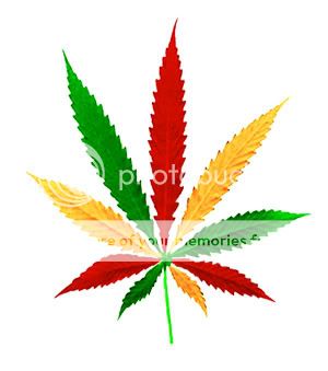 rasta_leaf_300.jpg