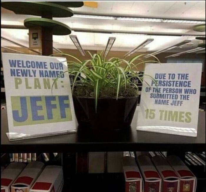office_21.jpg