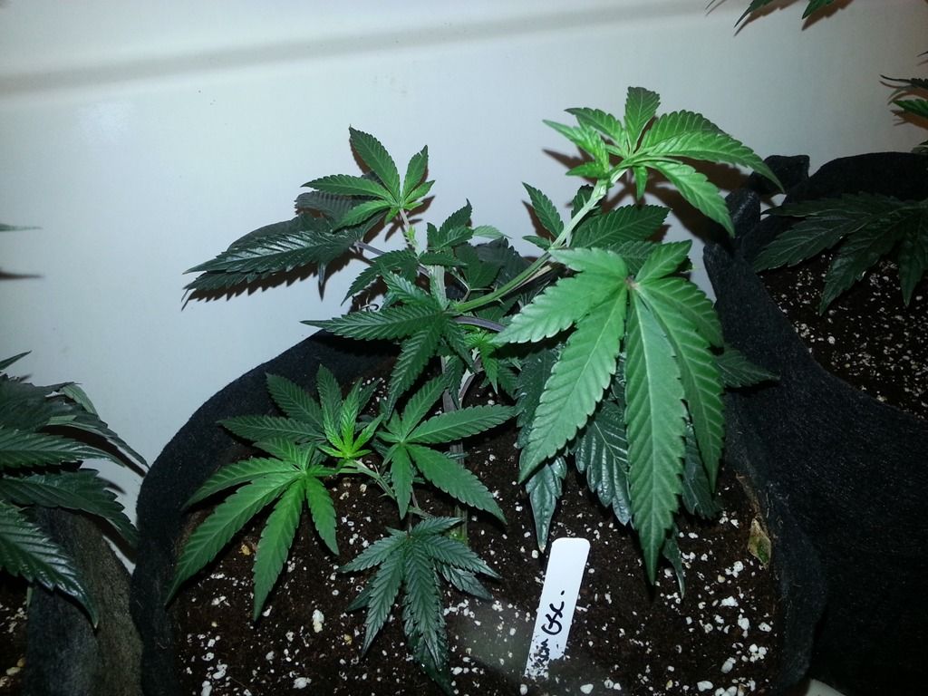 20120916_195557.jpg