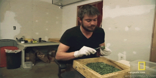 tumblr_m7smwg391v1qjczh3o3_500.gif