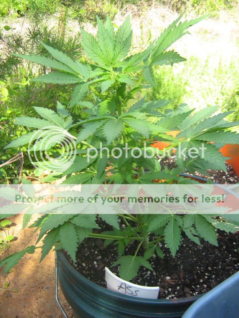 IMG_0021.jpg