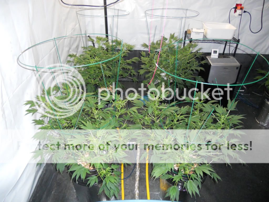 ES_Day17f.jpg