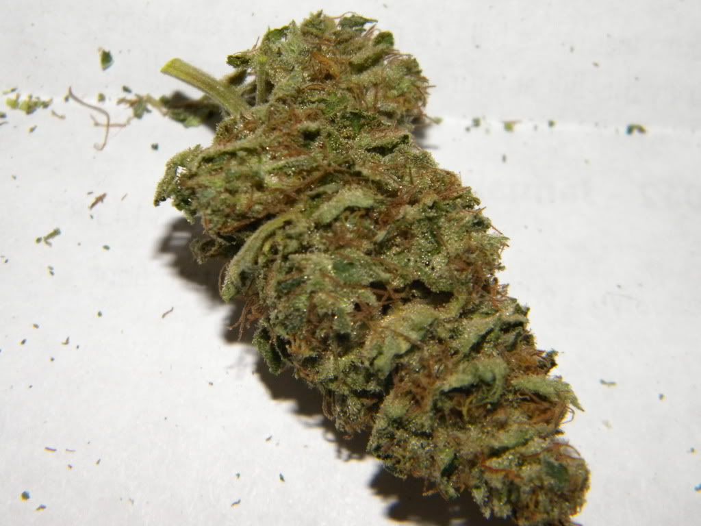 DSCN3266.jpg