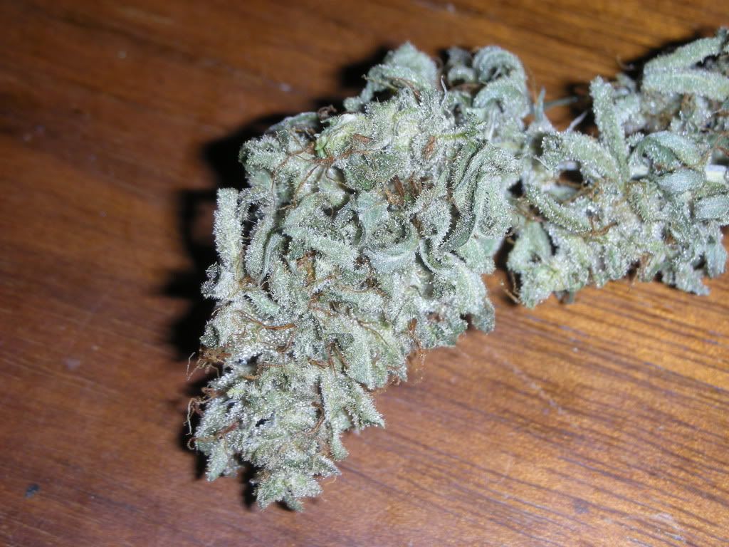 DSCN2230.jpg