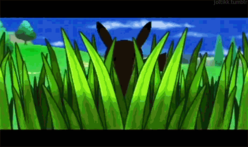 giphy.gif