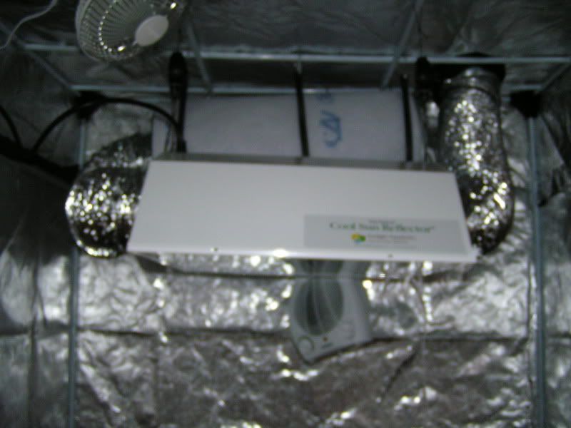 PICT7820.jpg