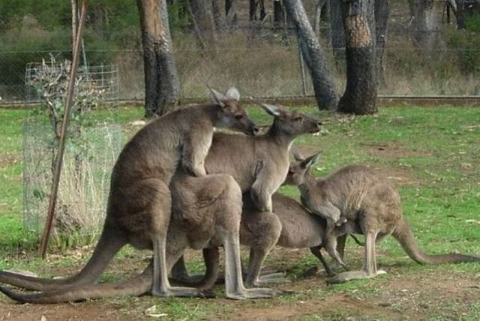 acid_picdump_88.jpg