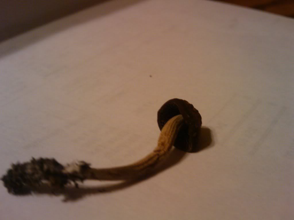 2010-08-07001341.jpg