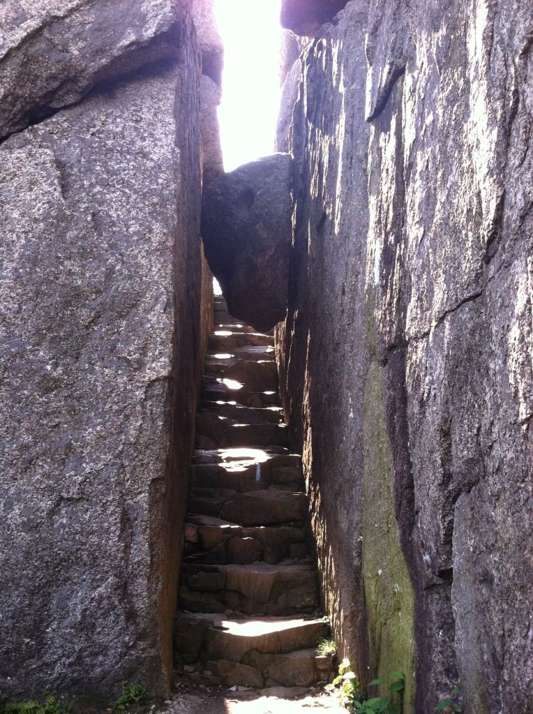 photo25.jpg