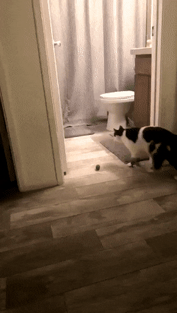 1674332945_5.gif