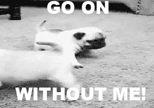 tumblr_lpq1ysBd5C1qii6tmo1_400.gif