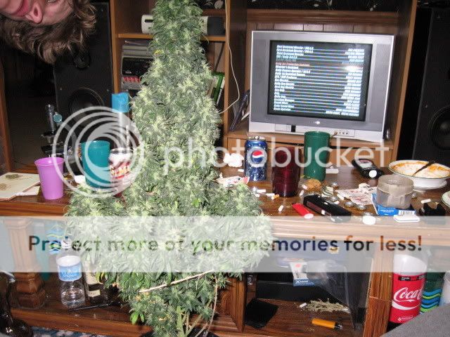 Picture006.jpg