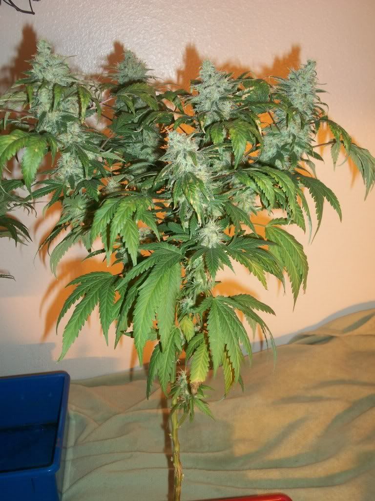 11-02-11015.jpg
