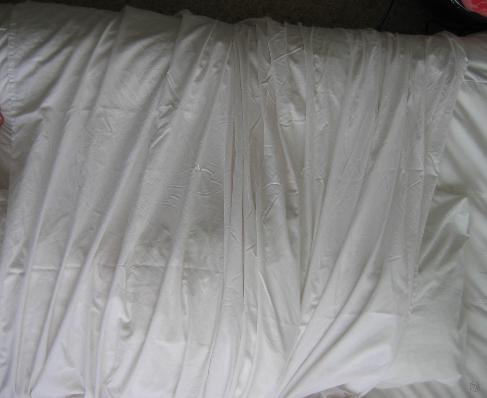 White_Sheet_1.jpg