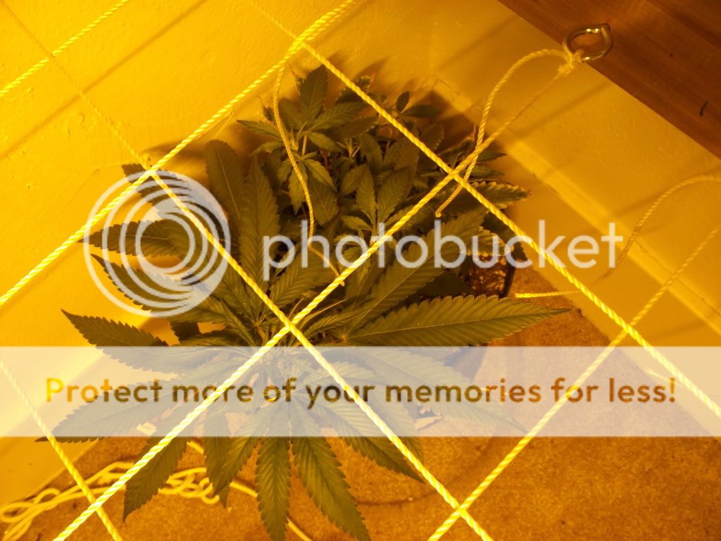 DSCF3060.jpg