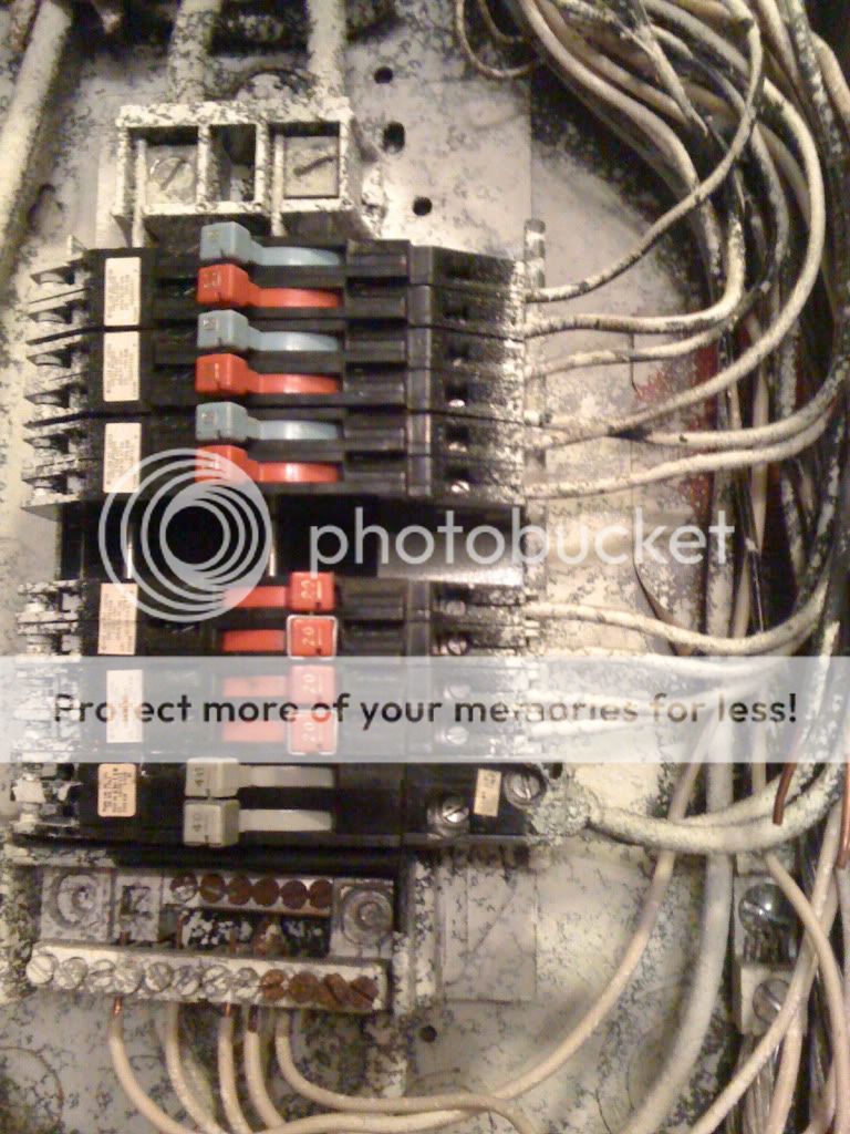 IMG_0164.jpg