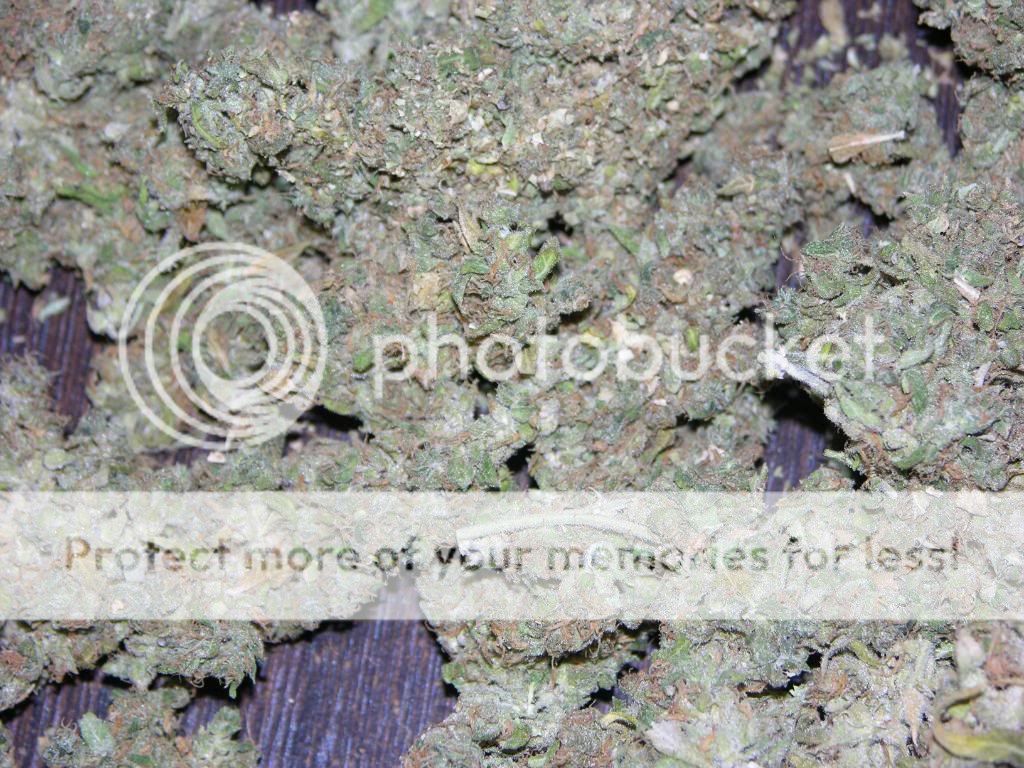 dry011.jpg