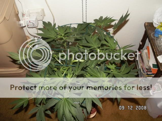 PICT0408.jpg