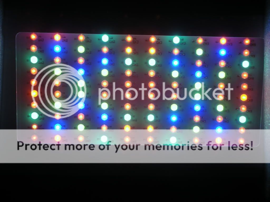 DSCN4333.jpg
