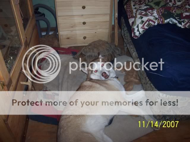 100_5451.jpg