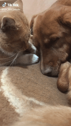 1676540562_15.gif