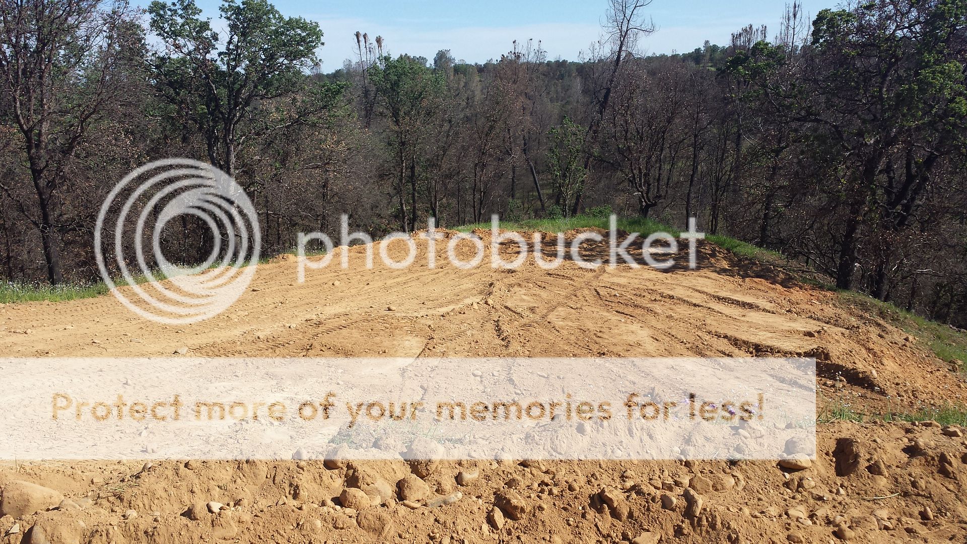 20140416_163036_zps7a4702f2.jpg