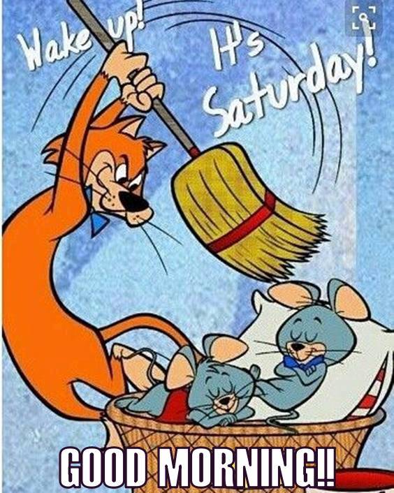 good-morning-sunshine-funny.jpg