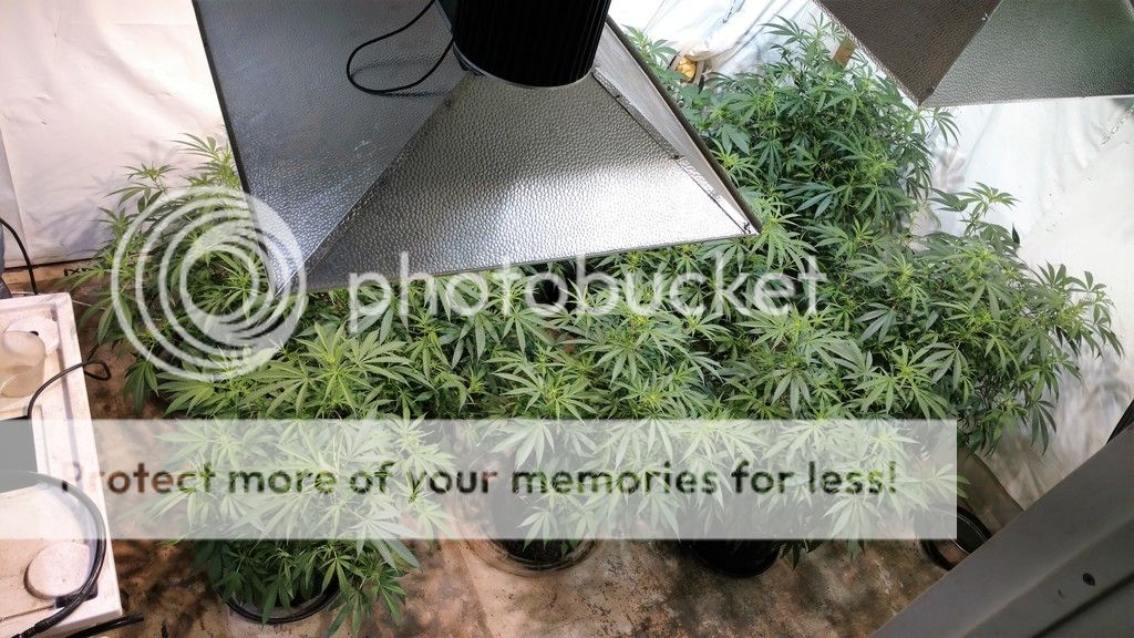 IMG_20160208_233019969_zpsctukbxza.jpg