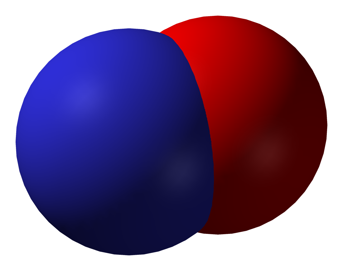 Nitric-oxide-3D-vdW.png