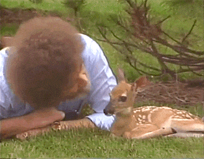Bob Ross and Baby Deer. I miss Bob Ross...a sweet soul...we were blessed to  have him in our world. | Bob ross, Bob ross paintings, Bob ross quotes