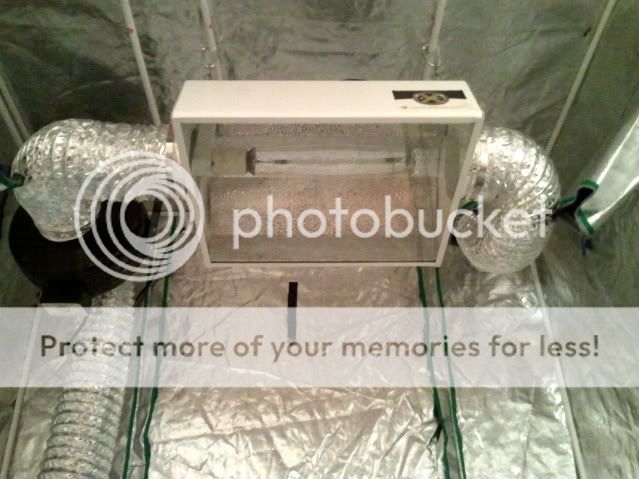 2010-12-22022439.jpg