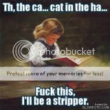 thecat.jpg