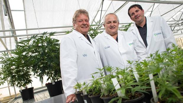 aphria.jpg