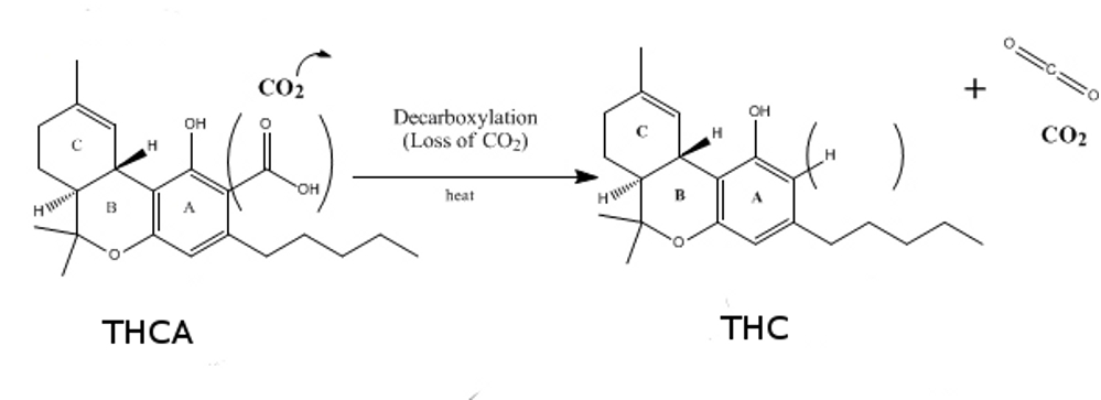 decarboxlyationofTHCA.JPEG