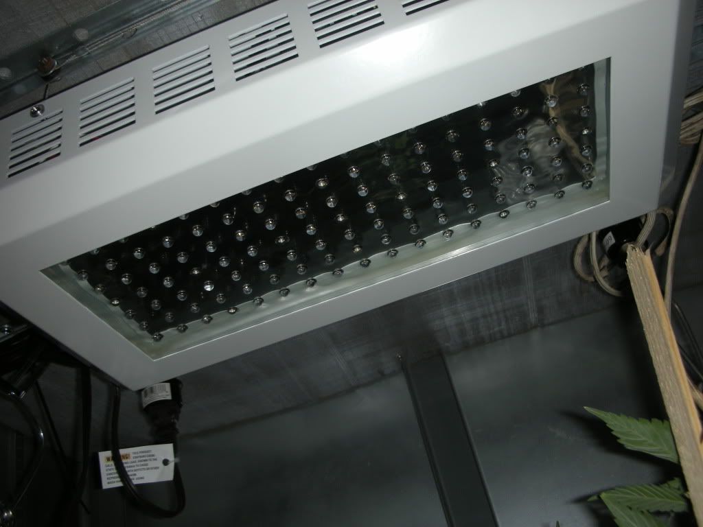 DSCN2242.jpg