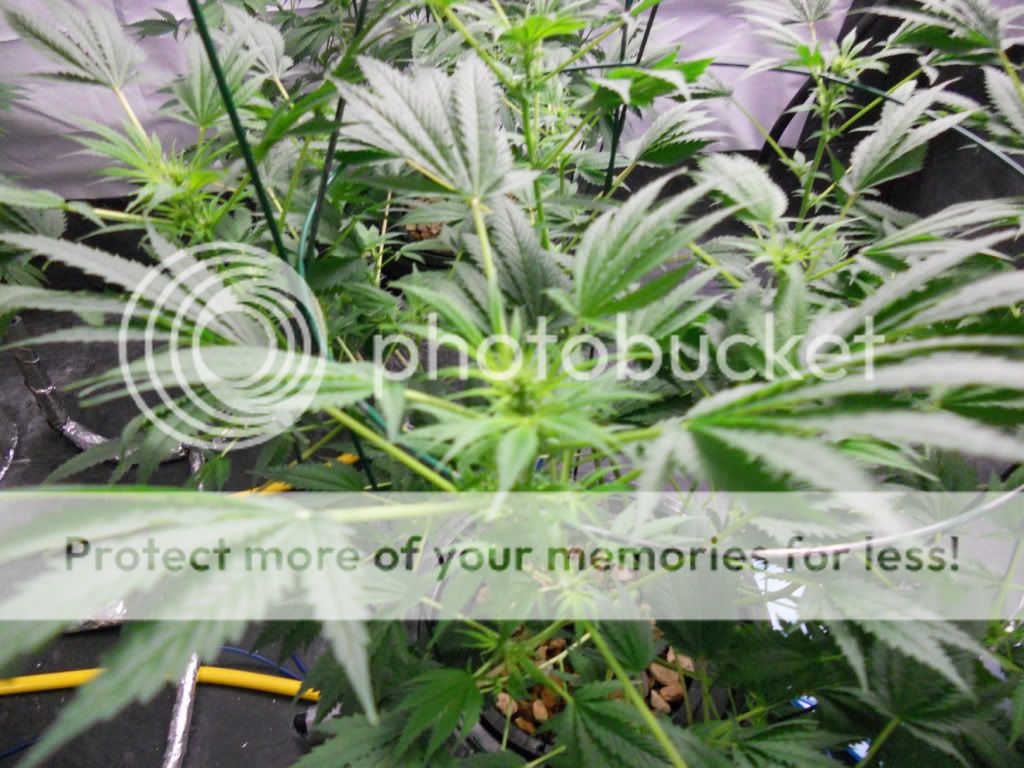 ES_Day17f_1.jpg