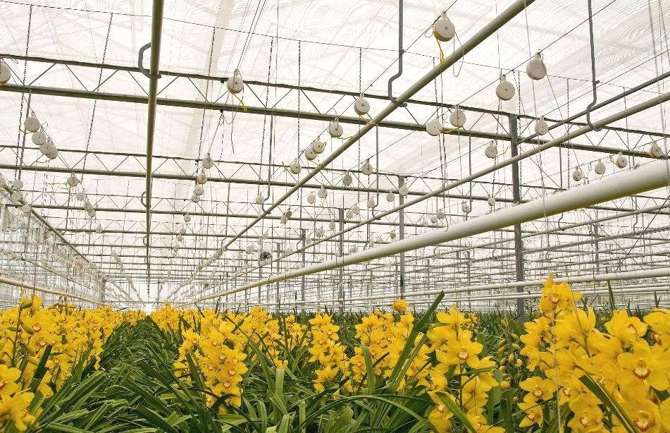 www.greenhousegrower.com