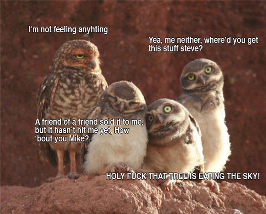 qWmIS.jpg