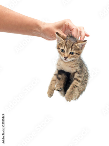 400_F_22929469_Azf5v5Sy10V9lwH4jbUPXOiRTWRhOluP.jpg
